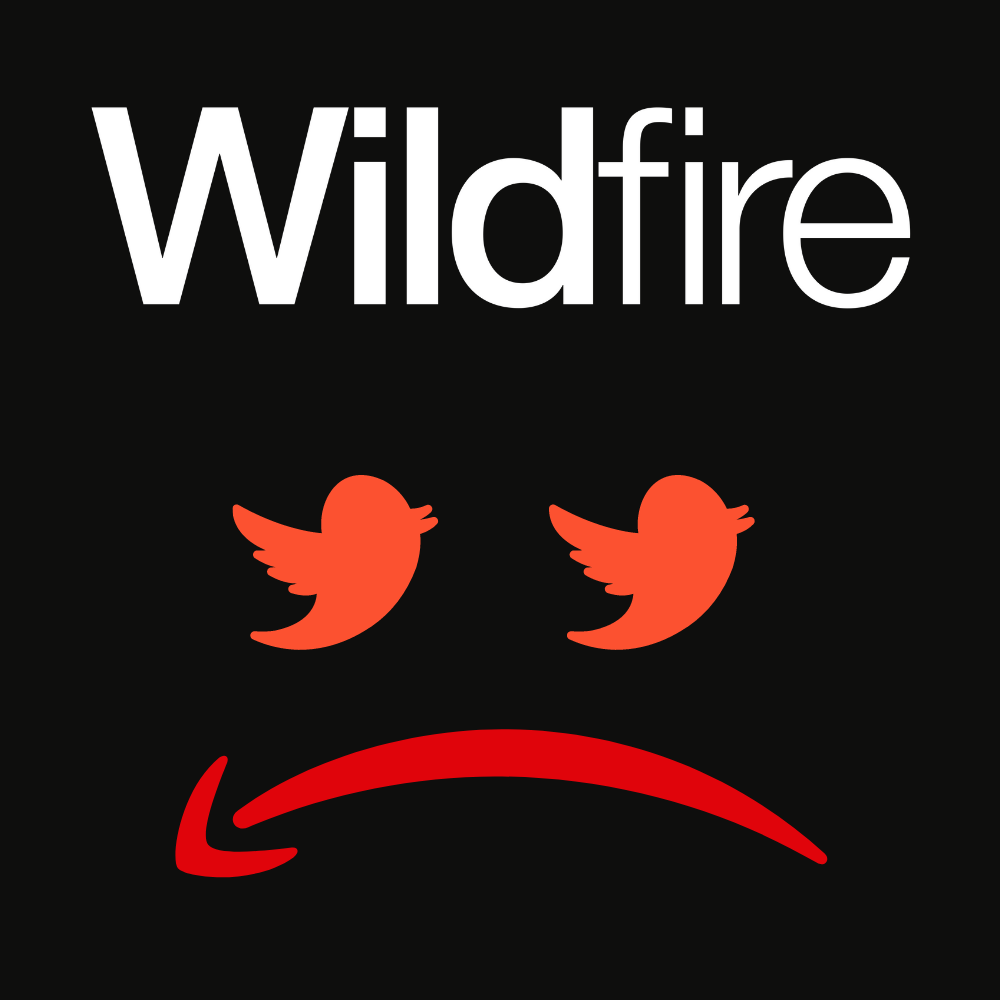 Amazon’s Prime Blunder: The Pitfalls of Relatable Marketing