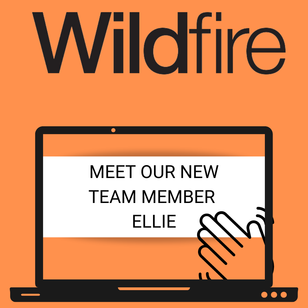 Meet our latest recruit… Ellie!