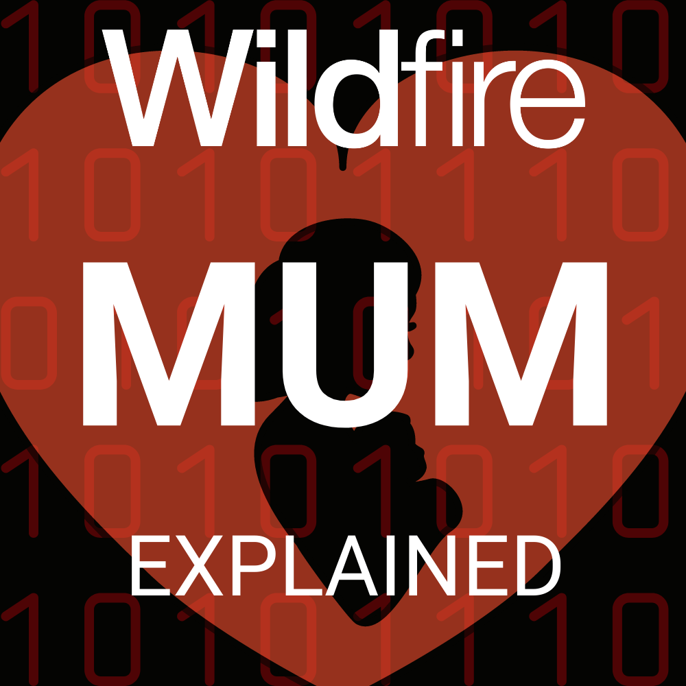 MUM: Your Essential Guide to The Search Revolution