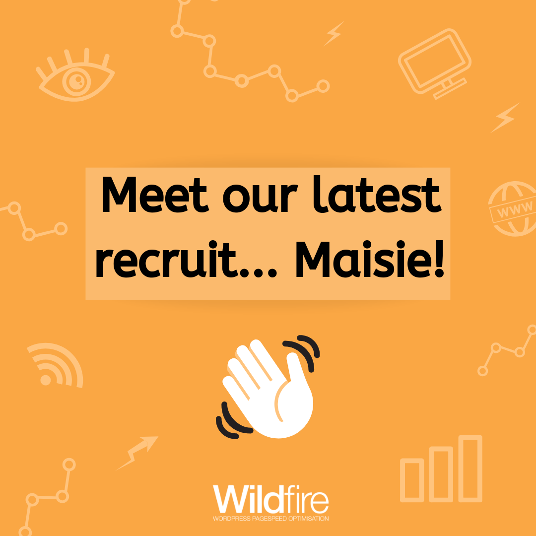 Meet our latest recruit… Maisie!