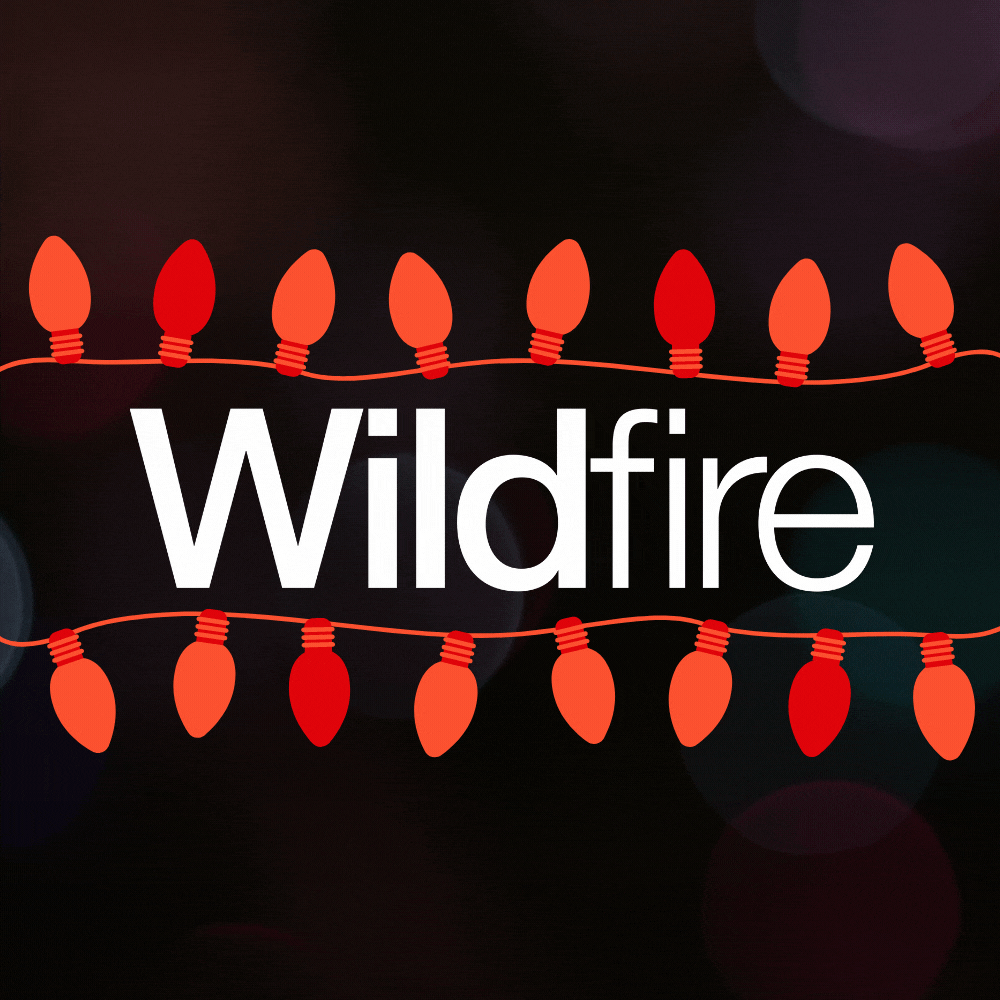 Merry Christmas from Wildfire