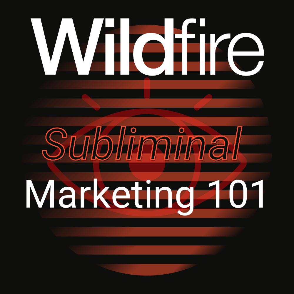 Marketing to The Mind: Mastering  Subliminal Marketing 101